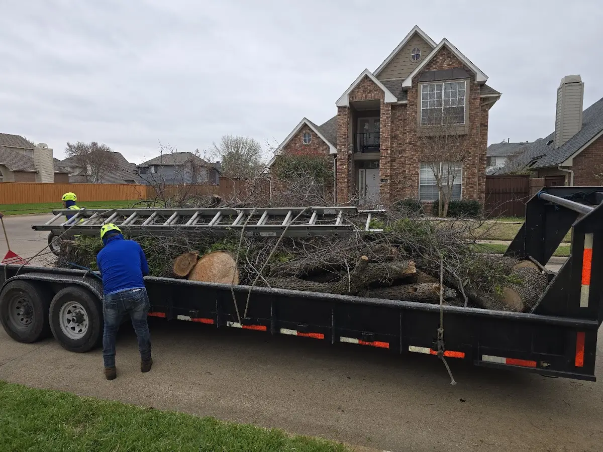 Expert Tree Fertilization with proper safety equipment in Jeffersonville
